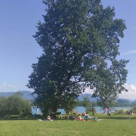 Glamping Wallersee - Unter Dem Kastanienbaum Holiday home Helming